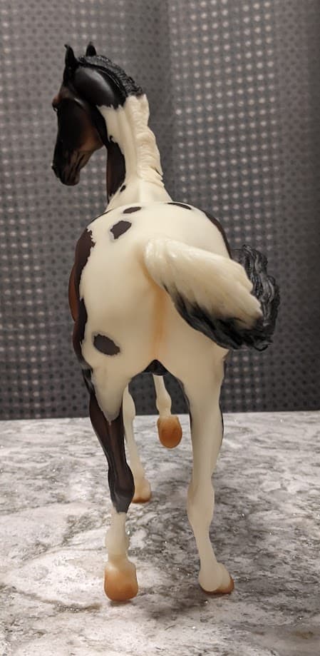 Hindquarters