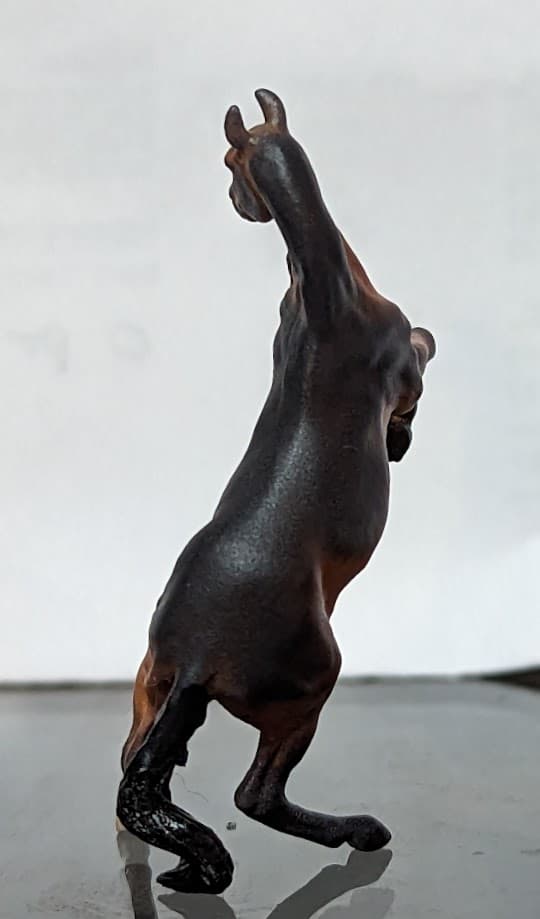 Hindquarters
