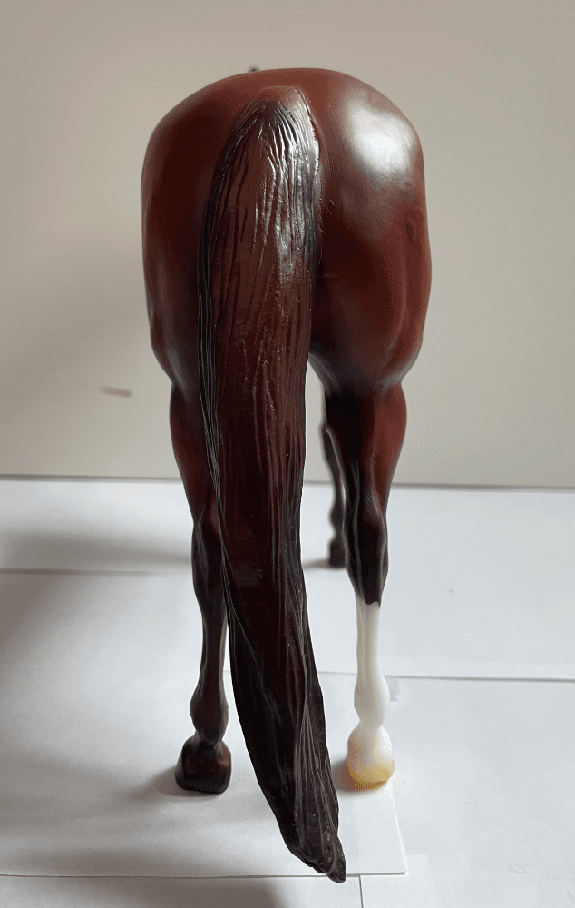 Hindquarters