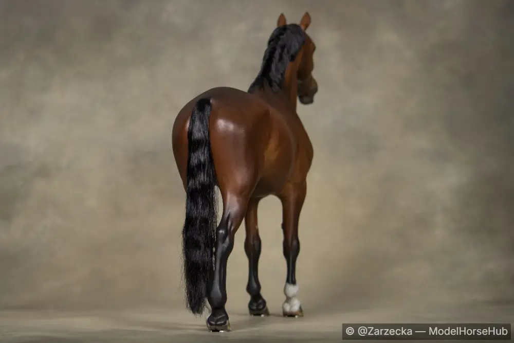 Hindquarters