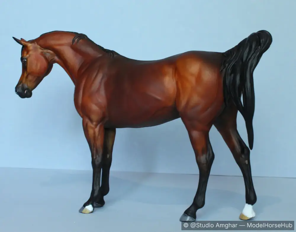 Hindquarters