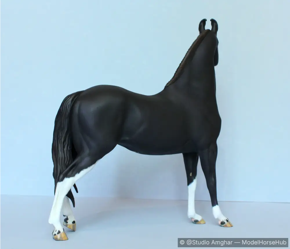Hindquarters