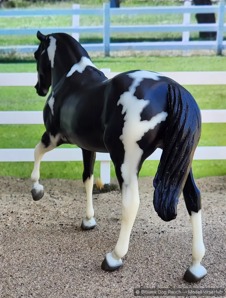 Hindquarters