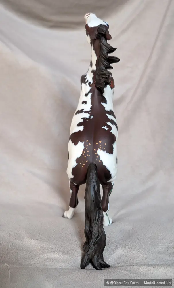 Hindquarters