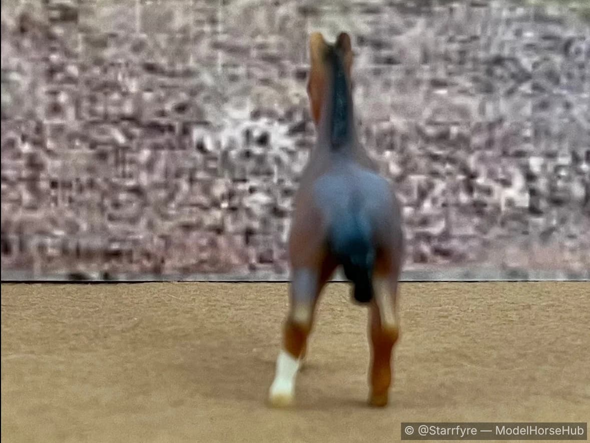 Hindquarters