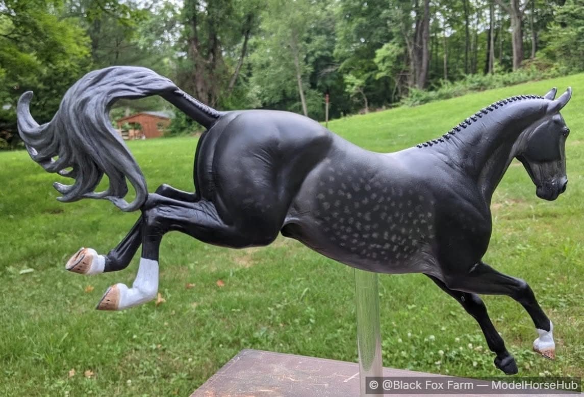 Hindquarters