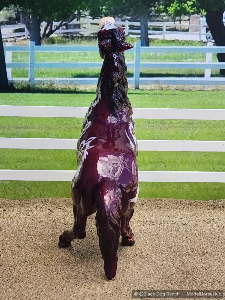 Hindquarters