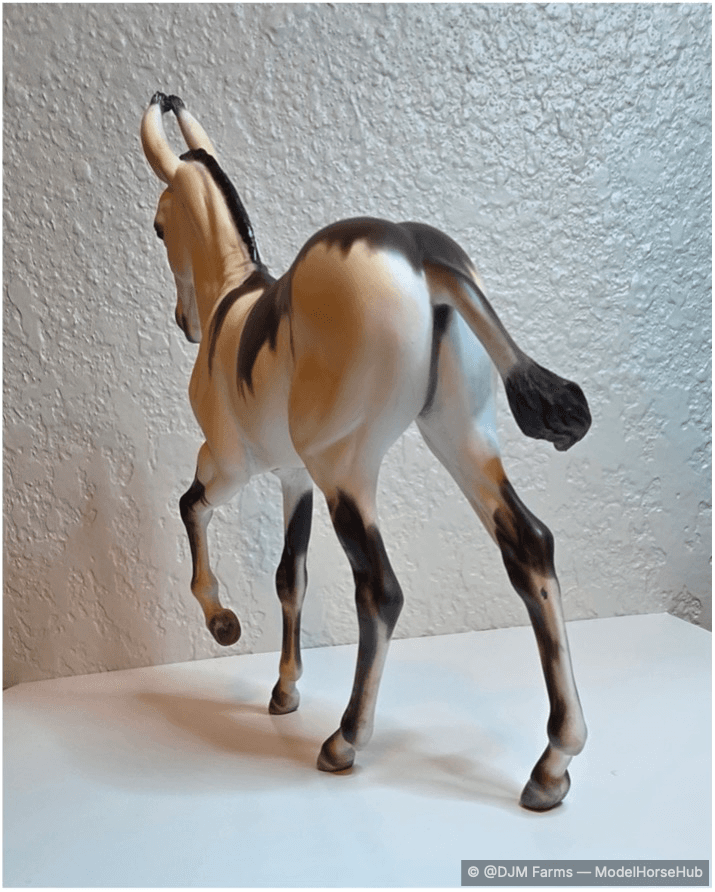 Hindquarters