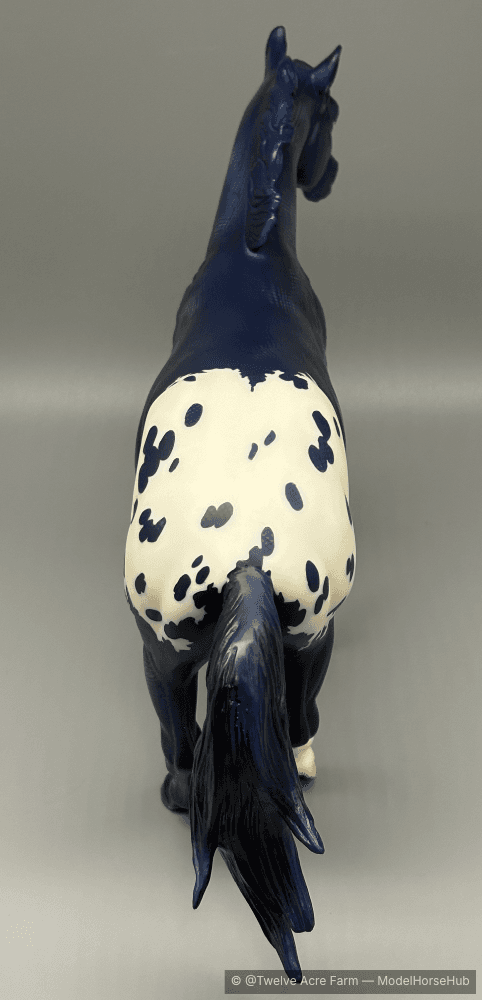 Hindquarters