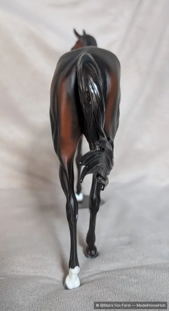 Hindquarters