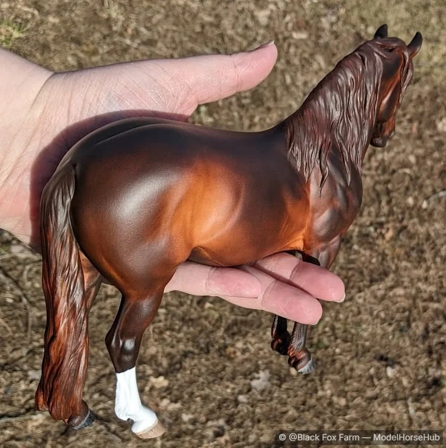 Hindquarters