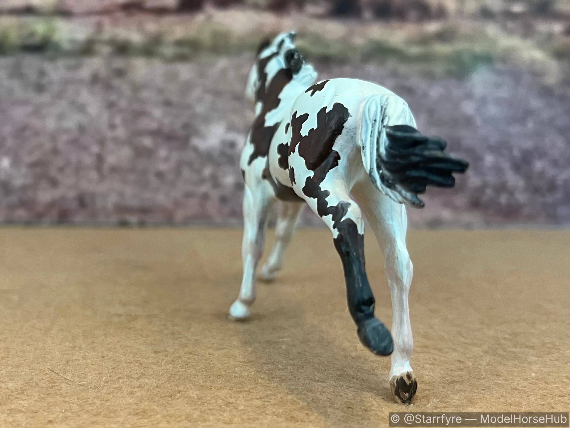 Hindquarters