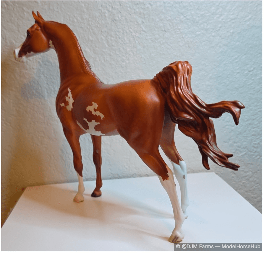 Hindquarters