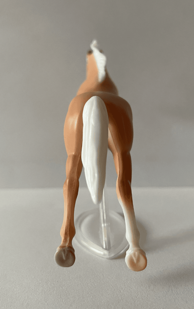 Hindquarters