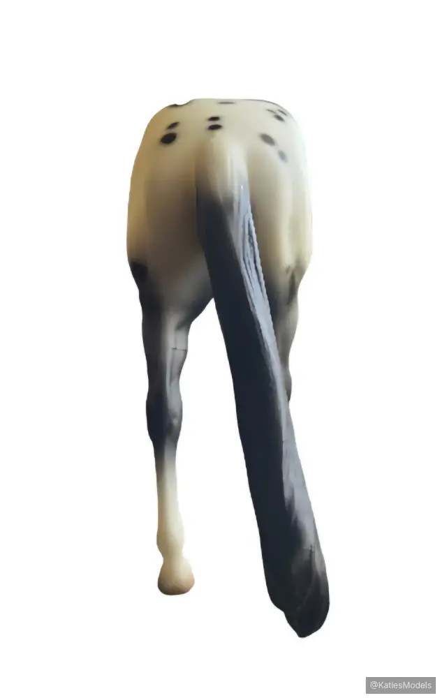 Hindquarters