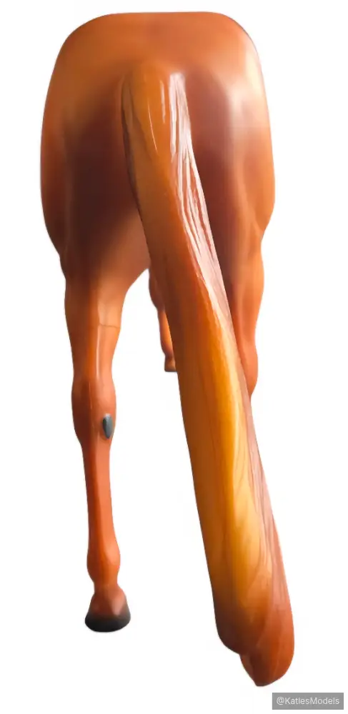 Hindquarters