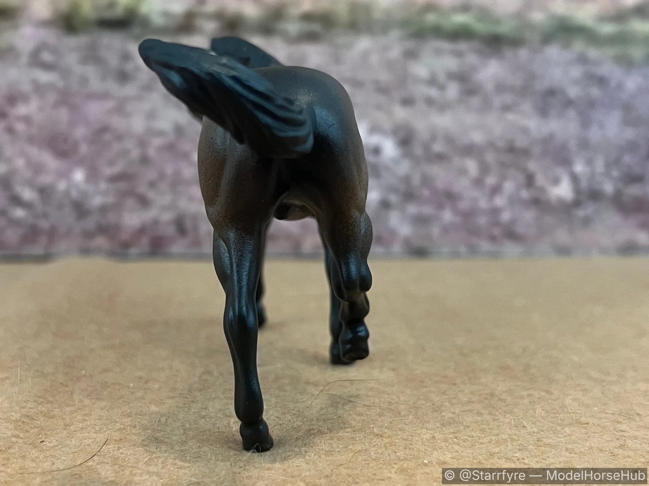 Hindquarters