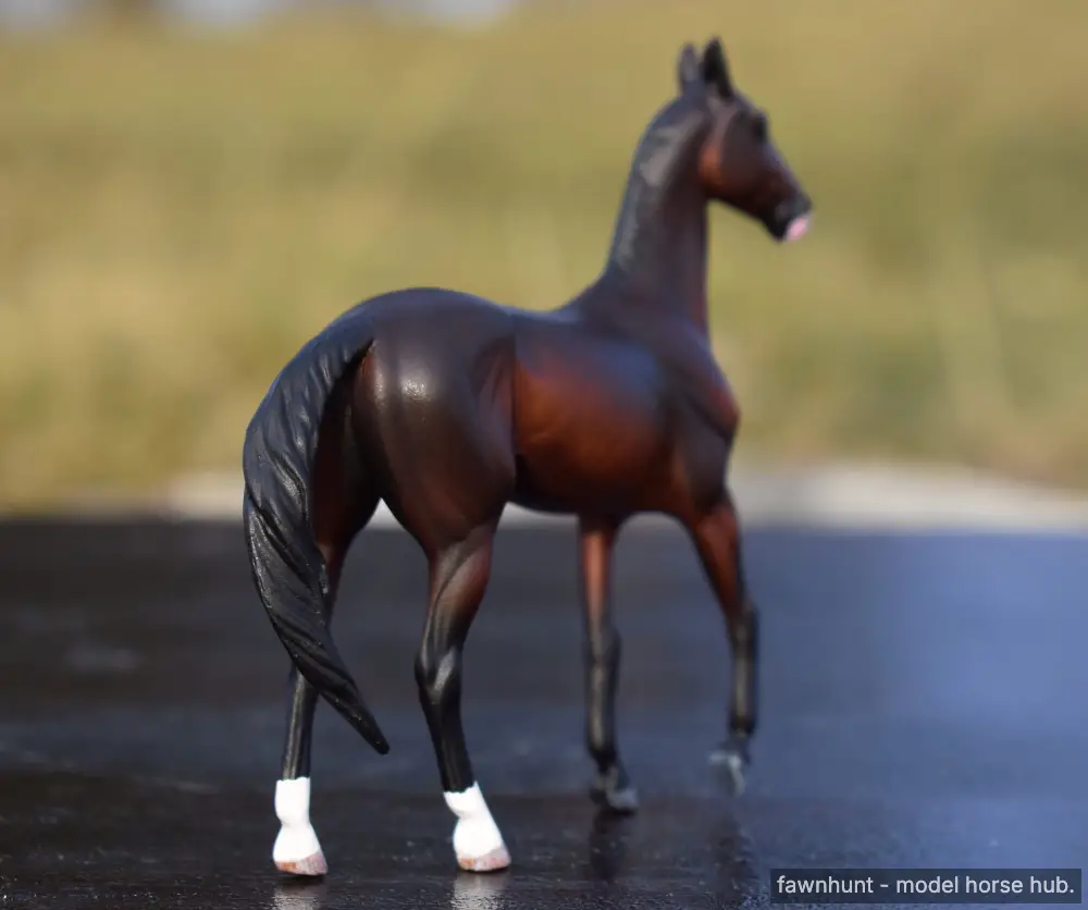 Hindquarters