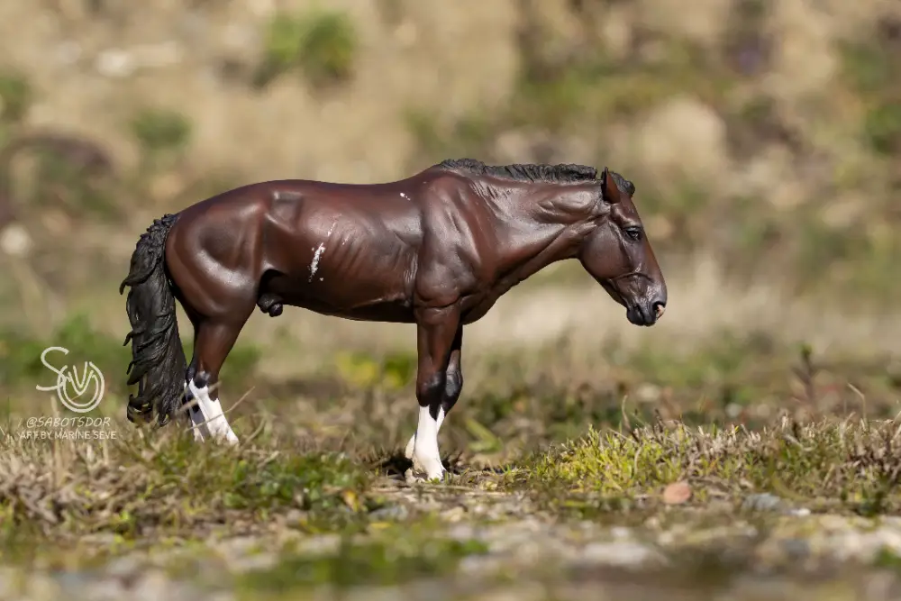 Hindquarters