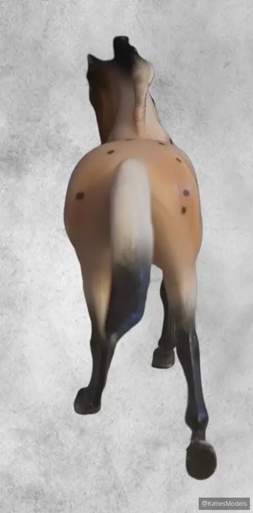 Hindquarters