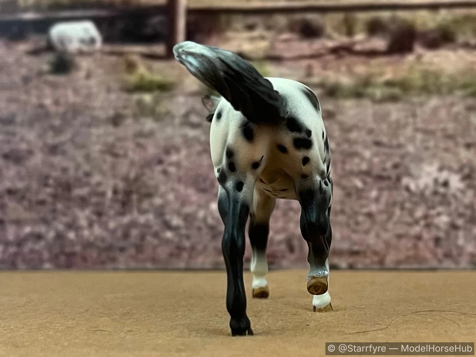 Hindquarters