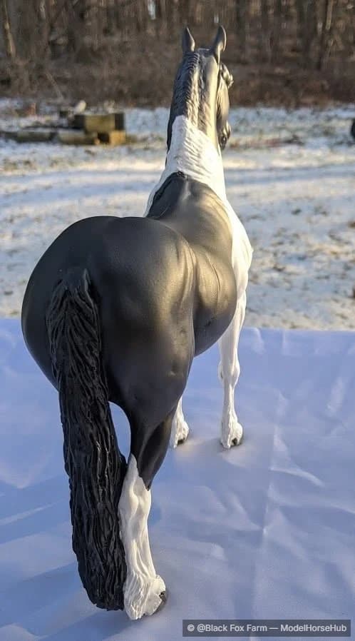 Hindquarters