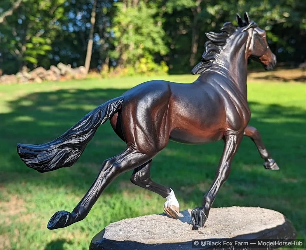 Hindquarters