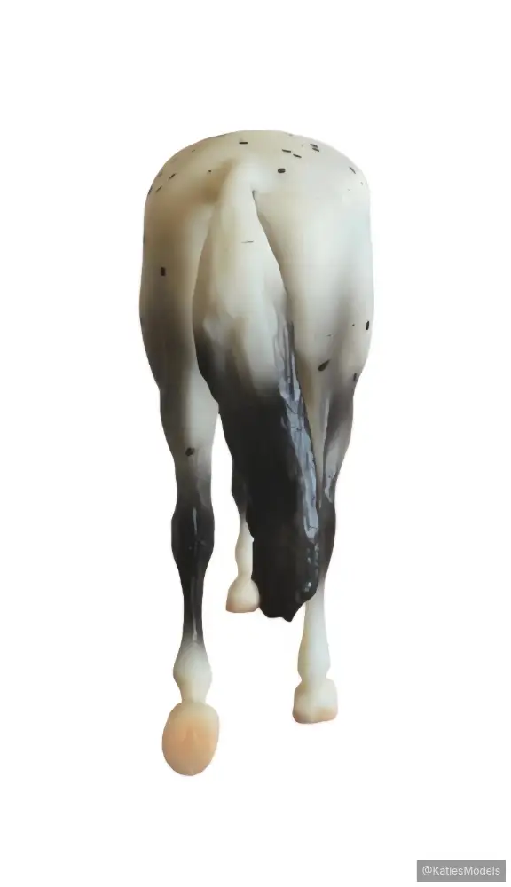 Hindquarters