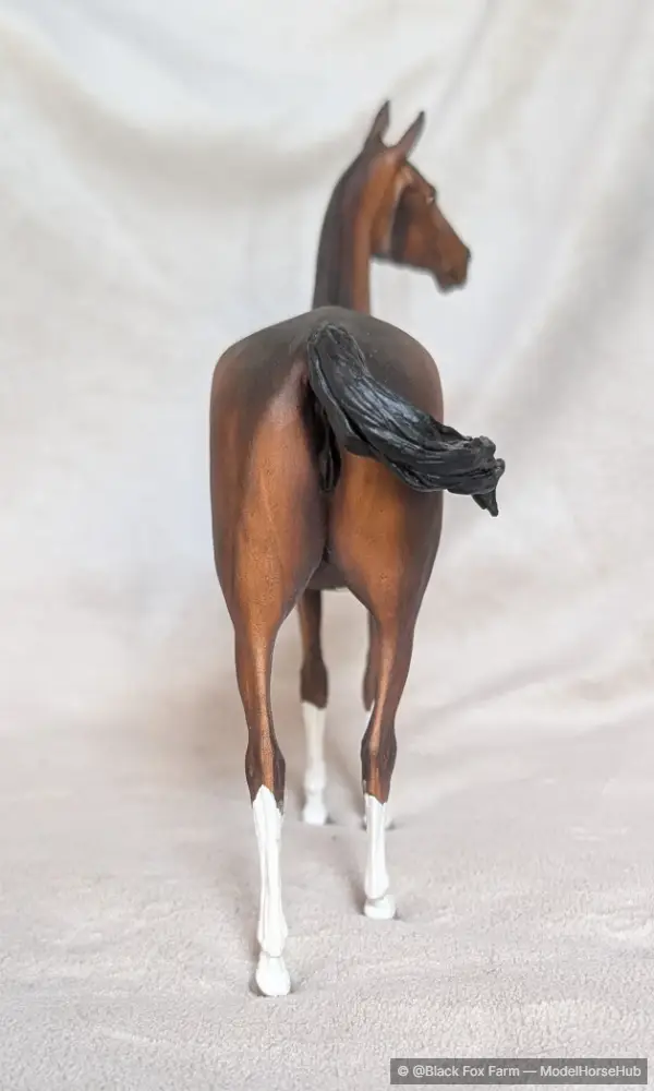 Hindquarters