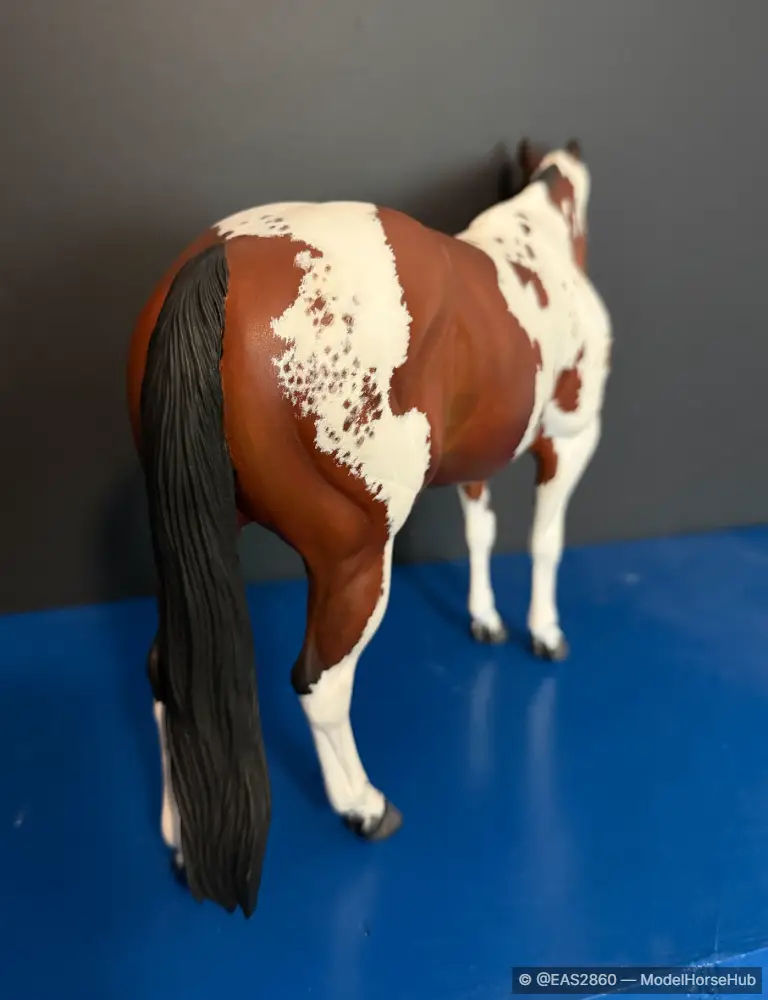 Hindquarters