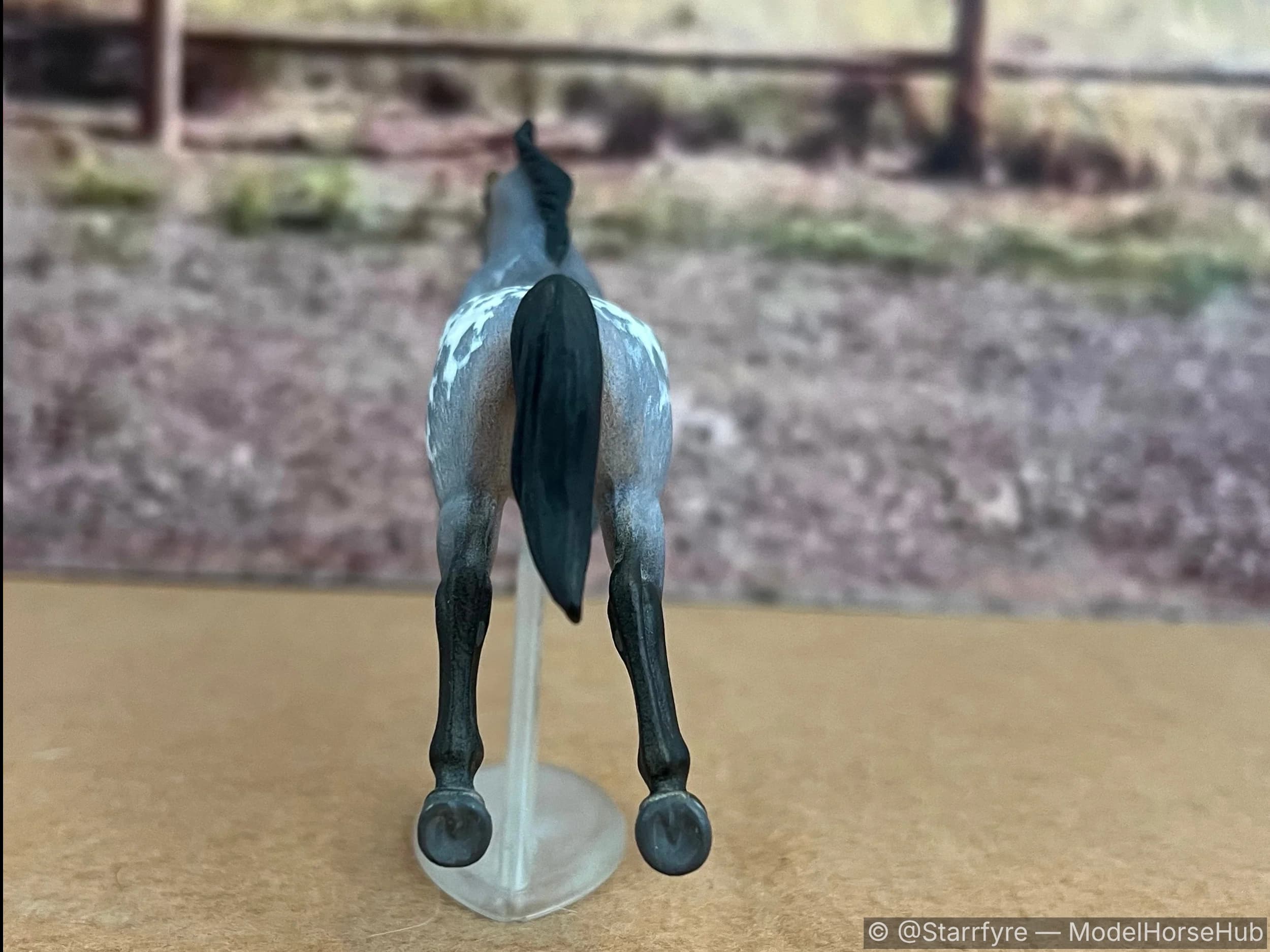 Hindquarters