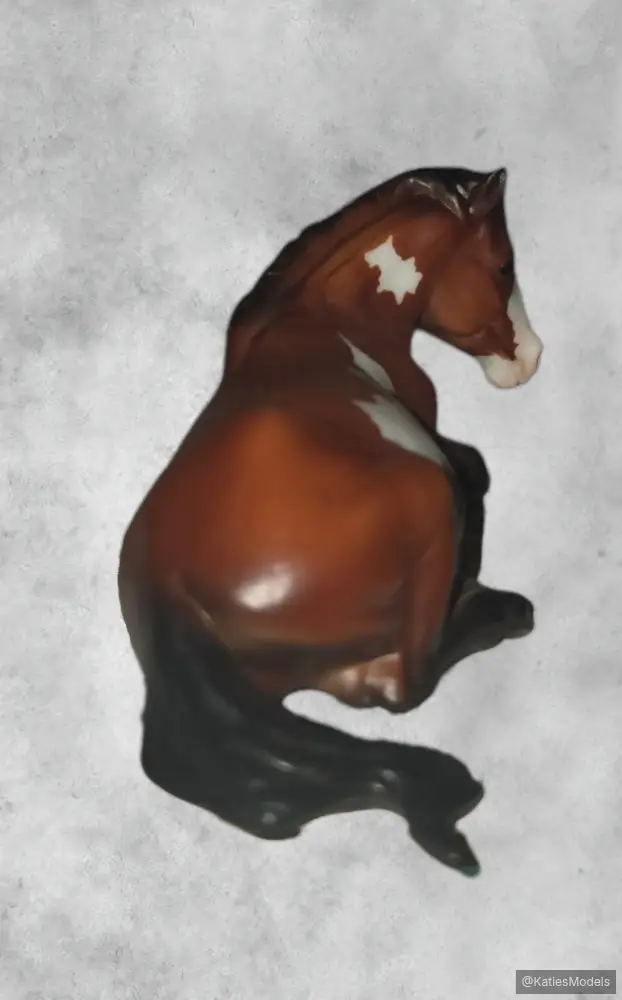 Hindquarters