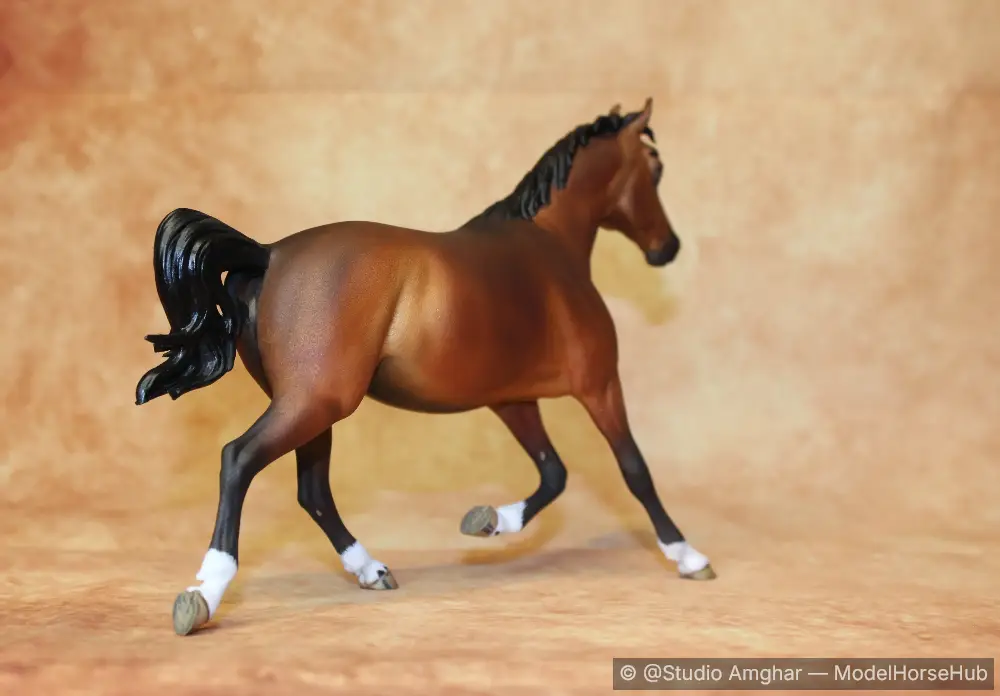 Hindquarters