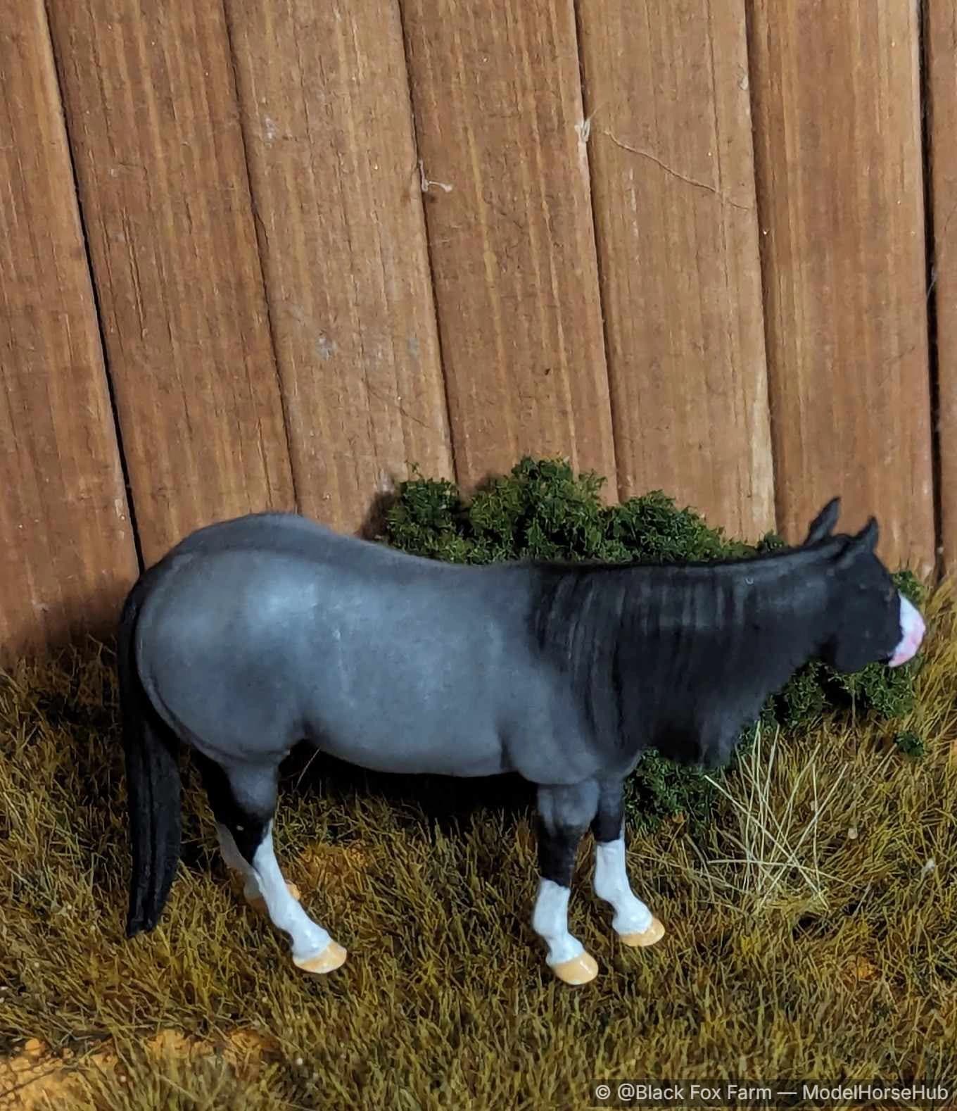 Hindquarters