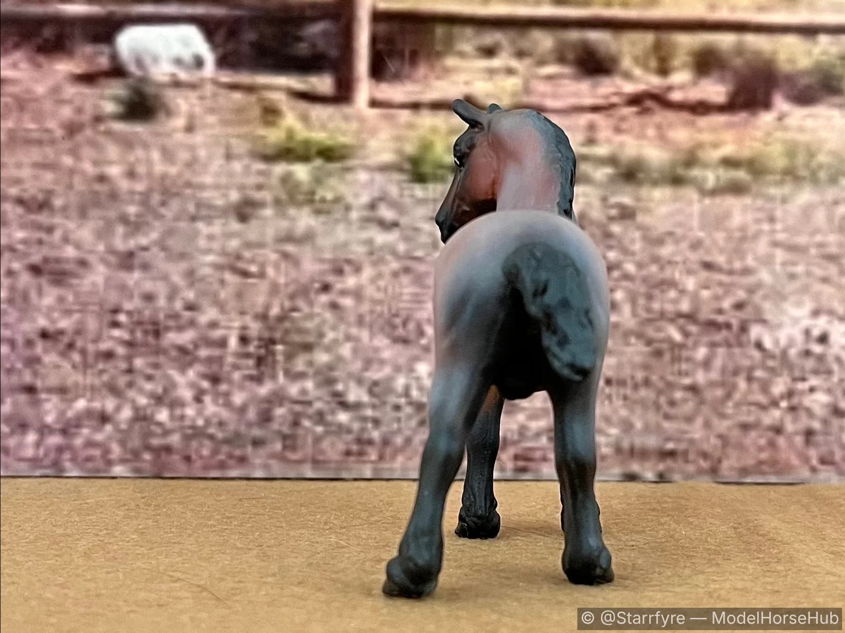Hindquarters