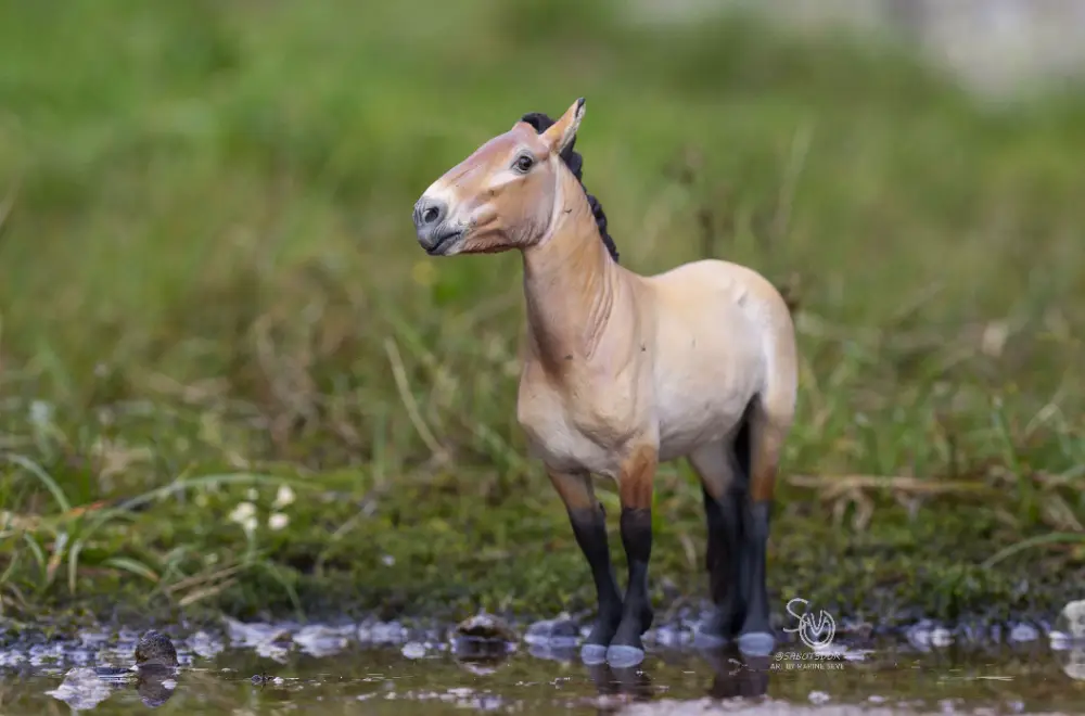 Hindquarters
