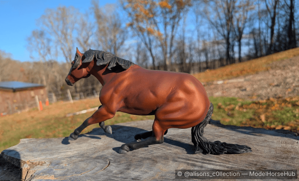 Hindquarters