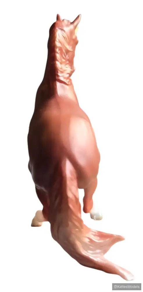 Hindquarters