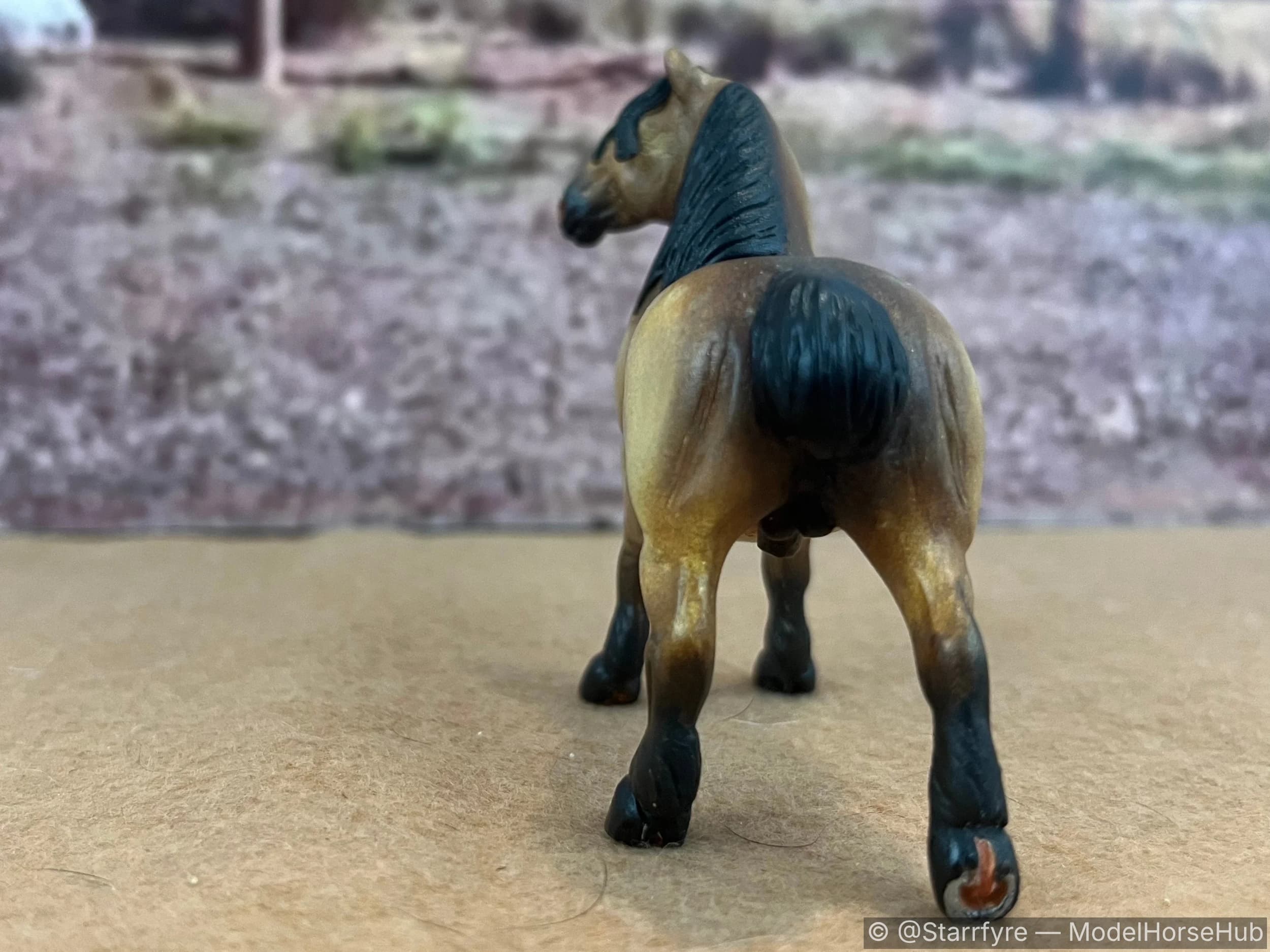 Hindquarters