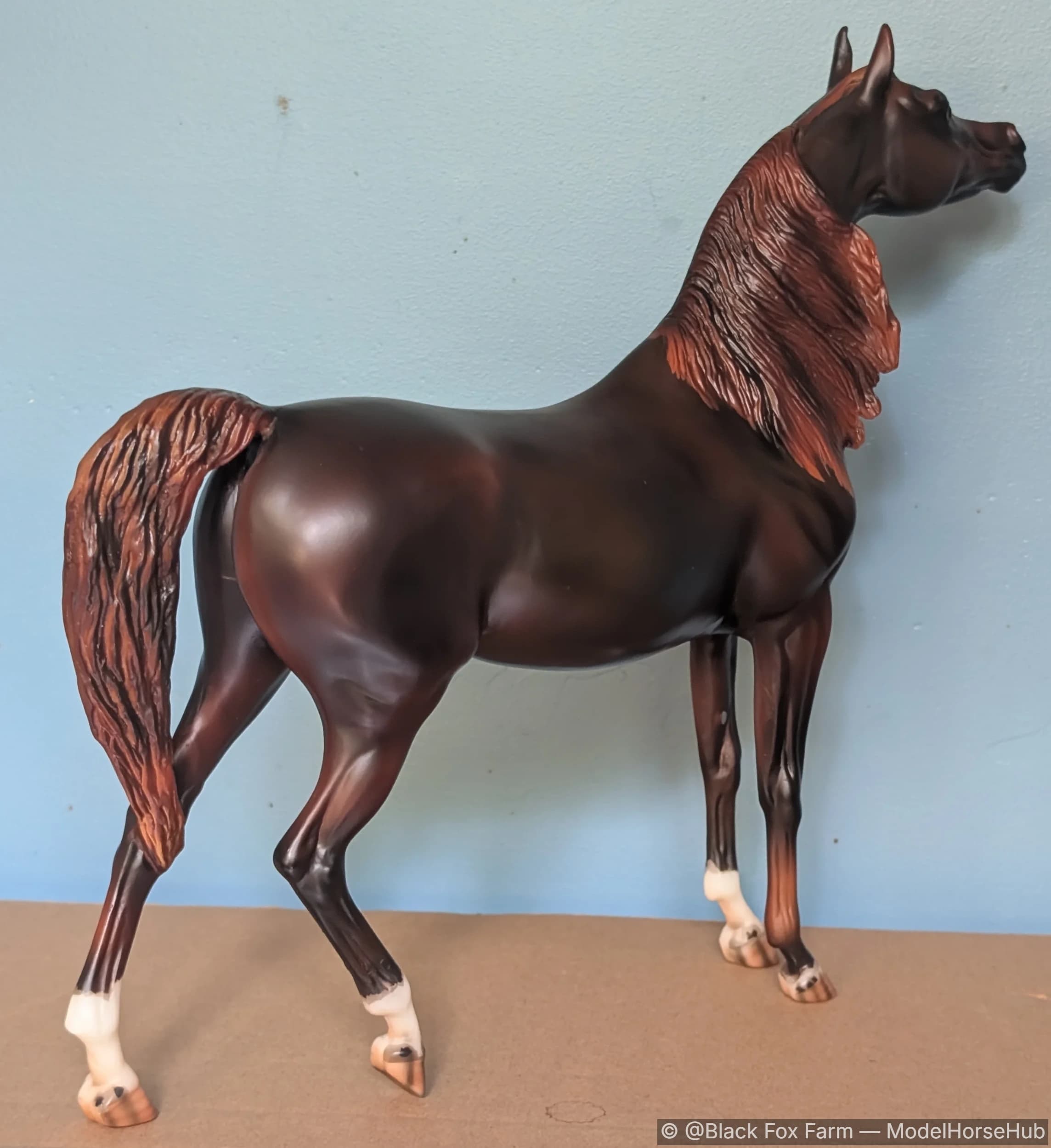 Hindquarters