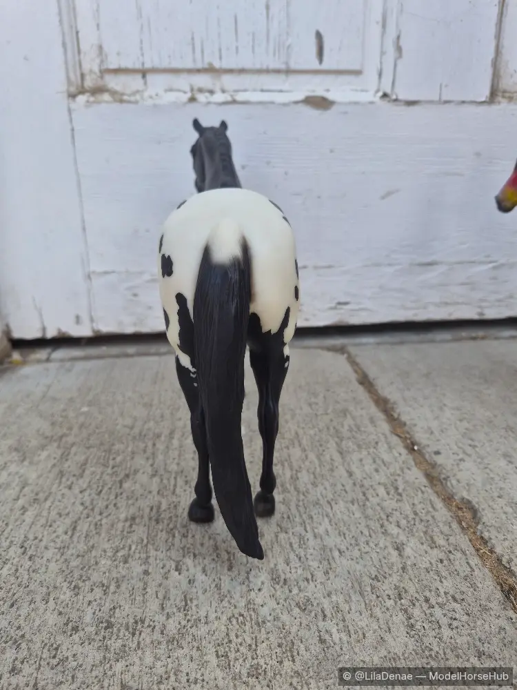 Hindquarters