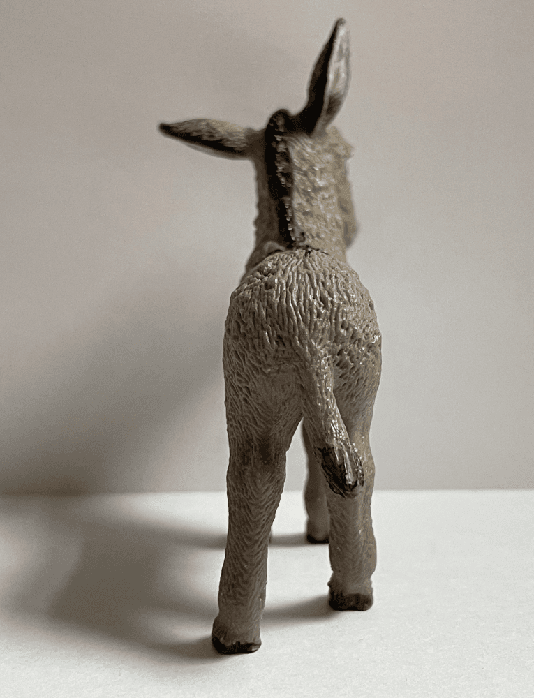 Hindquarters