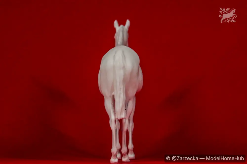 Hindquarters