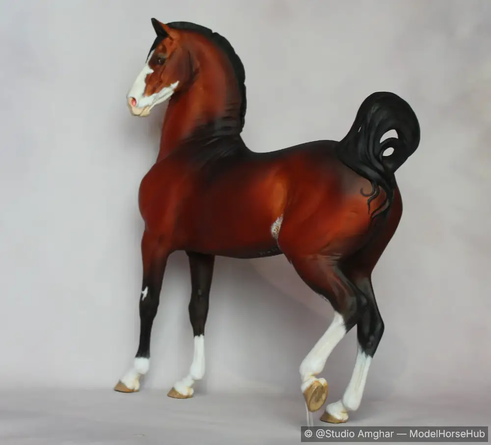 Hindquarters
