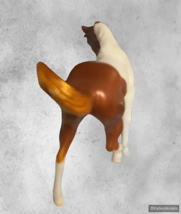 Hindquarters