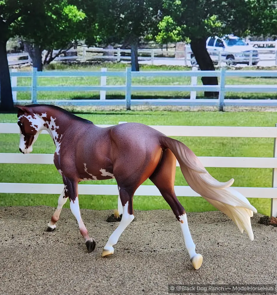 Hindquarters