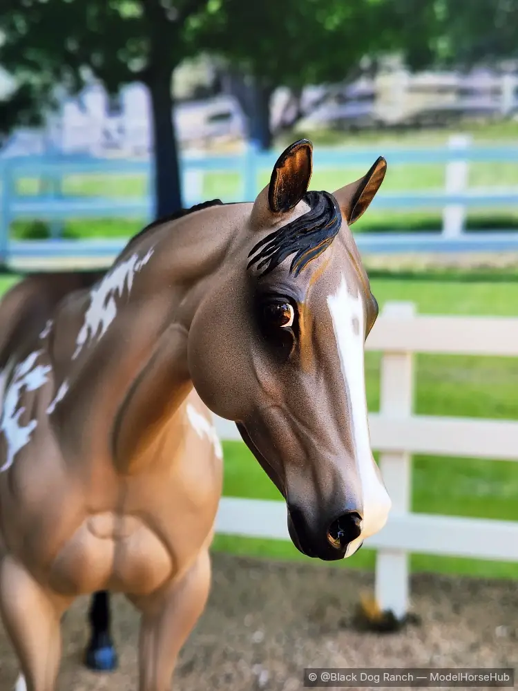 Hindquarters