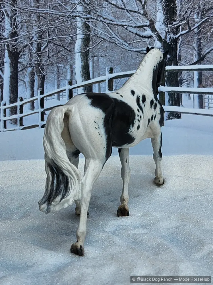 Hindquarters