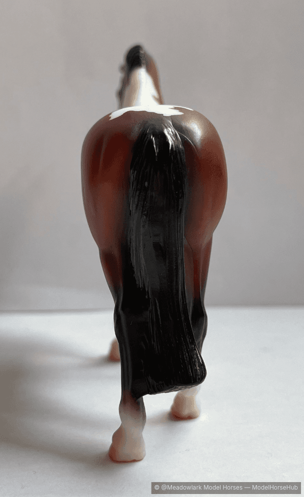 Hindquarters