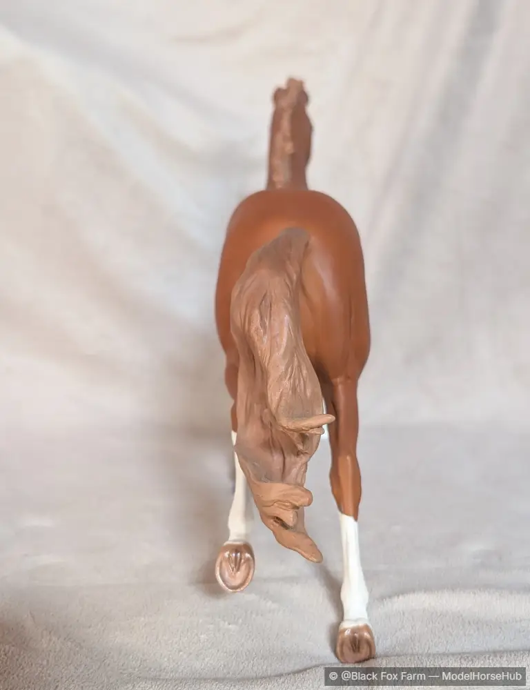 Hindquarters